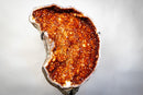 Statement Large Sculptural Crescent Moon Madeira Citrine Geode with AAA-Grade Orange Druzy & White Quartz Border (67 In. 196 Lb) - E2D Crystals & Minerals