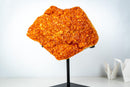 Rare Citrine Cluster on Stand with Sparkling Golden Orange Galaxy Druzy and Sculptural Formation (19 In / 33 Lb) - E2D Crystals & Minerals