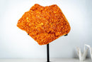 Rare Citrine Cluster on Stand with Sparkling Golden Orange Galaxy Druzy and Sculptural Formation (19 In / 33 Lb) - E2D Crystals & Minerals