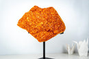 Rare Citrine Cluster on Stand with Sparkling Golden Orange Galaxy Druzy and Sculptural Formation (19 In / 33 Lb) - E2D Crystals & Minerals