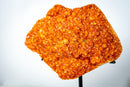 Rare Citrine Cluster on Stand with Sparkling Golden Orange Galaxy Druzy and Sculptural Formation (19 In / 33 Lb) - E2D Crystals & Minerals