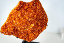 Rare Citrine Cluster on Stand with Sparkling Golden Orange Galaxy Druzy and Sculptural Formation (19 In / 33 Lb) - E2D Crystals & Minerals