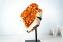 Large AAA Citrine Cluster with Crystal Flower Formations – Madeira Orange Gemmy Druzy on Stand (7.3 Kg / 16.2 lb) - E2D Crystals & Minerals
