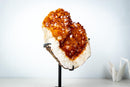Large AAA Citrine Cluster with Crystal Flower Formations – Madeira Orange Gemmy Druzy on Stand (7.3 Kg / 16.2 lb) - E2D Crystals & Minerals