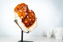 Large AAA Citrine Cluster with Crystal Flower Formations – Madeira Orange Gemmy Druzy on Stand (7.3 Kg / 16.2 lb) - E2D Crystals & Minerals