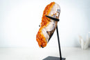 Small Citrine Crystal Cluster on Custom Stand – Sparkling Golden Orange Galaxy Druzy (4.7 Kg / 10.5 lb) - E2D Crystals & Minerals