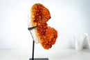 Small Citrine Crystal Cluster on Custom Stand – Sparkling Golden Orange Galaxy Druzy (4.7 Kg / 10.5 lb) - E2D Crystals & Minerals