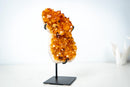 Small Self-Standing Citrine Crystal Cluster – Golden Yellow Brazilian Specimen, Ethically Sourced (4.4 lb) - E2D Crystals & Minerals