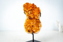 Small Self-Standing Citrine Crystal Cluster – Golden Yellow Brazilian Specimen, Ethically Sourced (4.4 lb) - E2D Crystals & Minerals