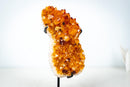 Small Self-Standing Citrine Crystal Cluster – Golden Yellow Brazilian Specimen, Ethically Sourced (4.4 lb) - E2D Crystals & Minerals