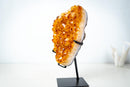 Small High-Grade Brazilian Citrine Cluster – Vibrant Golden-Orange Crystal Druzy on Custom Stand (7.5 In / 2.5 Lb) - E2D Crystals & Minerals