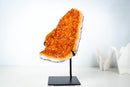 Small Madeira Citrine Geode Cluster – AAA-Grade, with Sparkly Golden Orange/Amber Druzy on Stand (2.0 Kg / 4.3 lb) - E2D Crystals & Minerals