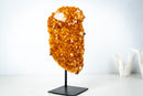 Natural High-Grade Citrine Cluster with Calcite – Gemmy Golden Orange Crystal Points on Stand (13 In / 7.4 Lb) - E2D Crystals & Minerals