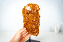 Natural High-Grade Citrine Cluster with Calcite – Gemmy Golden Orange Crystal Points on Stand (13 In / 7.4 Lb) - E2D Crystals & Minerals