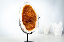 AAA-Grade Natural Citrine Geode Cave with Golden Orange Druzy and Rare Crystals (Small Size: 3.3 Kg - 7.2 lb) - E2D Crystals & Minerals
