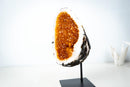 AAA-Grade Natural Citrine Geode Cave with Golden Orange Druzy and Rare Crystals (Small Size: 3.3 Kg - 7.2 lb) - E2D Crystals & Minerals