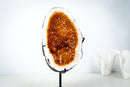 AAA-Grade Natural Citrine Geode Cave with Golden Orange Druzy and Rare Crystals (Small Size: 3.3 Kg - 7.2 lb) - E2D Crystals & Minerals