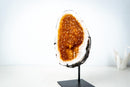 AAA-Grade Natural Citrine Geode Cave with Golden Orange Druzy and Rare Crystals (Small Size: 3.3 Kg - 7.2 lb) - E2D Crystals & Minerals