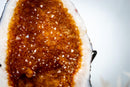 AAA-Grade Natural Citrine Geode Cave with Golden Orange Druzy and Rare Crystals (Small Size: 3.3 Kg - 7.2 lb) - E2D Crystals & Minerals