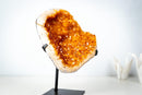 Golden Yellow Citrine Geode Cluster – Large Sparkling Crystal Druzy (5.4 Kg / 12.0 lb) - E2D Crystals & Minerals