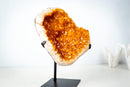 Golden Yellow Citrine Geode Cluster – Large Sparkling Crystal Druzy (5.4 Kg / 12.0 lb) - E2D Crystals & Minerals