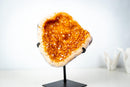 Golden Yellow Citrine Geode Cluster – Large Sparkling Crystal Druzy (5.4 Kg / 12.0 lb) - E2D Crystals & Minerals