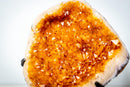 Golden Yellow Citrine Geode Cluster – Large Sparkling Crystal Druzy (5.4 Kg / 12.0 lb) - E2D Crystals & Minerals