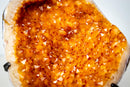 Golden Yellow Citrine Geode Cluster – Large Sparkling Crystal Druzy (5.4 Kg / 12.0 lb) - E2D Crystals & Minerals