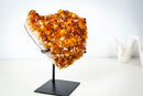 AAA Madeira Citrine Crystal Cluster – Large Gemmy Golden-Orange Points on Stand (4.1 Kg / 9.0 lb) - E2D Crystals & Minerals
