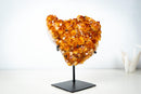 AAA Madeira Citrine Crystal Cluster – Large Gemmy Golden-Orange Points on Stand (4.1 Kg / 9.0 lb) - E2D Crystals & Minerals