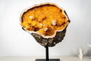 Spectacular Golden Yellow Citrine Geode Cave with Stalactite Flowers & Natural Calcite – Large: 25.7 Kg / 56.7 lb - E2D Crystals & Minerals