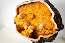 Spectacular Golden Yellow Citrine Geode Cave with Stalactite Flowers & Natural Calcite – Large: 25.7 Kg / 56.7 lb - E2D Crystals & Minerals