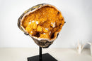 Spectacular Golden Yellow Citrine Geode Cave with Stalactite Flowers & Natural Calcite – Large: 25.7 Kg / 56.7 lb - E2D Crystals & Minerals