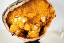 Spectacular Golden Yellow Citrine Geode Cave with Stalactite Flowers & Natural Calcite – Large: 25.7 Kg / 56.7 lb - E2D Crystals & Minerals