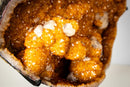 Spectacular Golden Yellow Citrine Geode Cave with Stalactite Flowers & Natural Calcite – Large: 25.7 Kg / 56.7 lb - E2D Crystals & Minerals