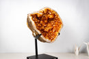 Rare Brazilian Citrine Geode with Dozens of Flower Stalactites & Sparkling Orange Druzy – (Large: 18 Kg / 40 lb) - E2D Crystals & Minerals