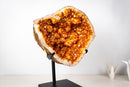Rare Brazilian Citrine Geode with Dozens of Flower Stalactites & Sparkling Orange Druzy – (Large: 18 Kg / 40 lb) - E2D Crystals & Minerals