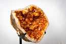 Rare Brazilian Citrine Geode with Dozens of Flower Stalactites & Sparkling Orange Druzy – (Large: 18 Kg / 40 lb) - E2D Crystals & Minerals