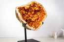 Rare Brazilian Citrine Geode with Dozens of Flower Stalactites & Sparkling Orange Druzy – (Large: 18 Kg / 40 lb) - E2D Crystals & Minerals