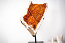 Large AAA Citrine Geode with Giant Flower Rosette & Deep Orange Druzy – 36 Kg - 79 lb - E2D Crystals & Minerals