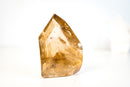 Exceptional Natural Citrine Crystal Point – Genuine Unheated Honey-Gold Quartz with Internal Rainbows (1060g / 2.3 lb) - E2D Crystals & Minerals