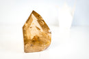 Exceptional Natural Citrine Crystal Point – Genuine Unheated Honey-Gold Quartz with Internal Rainbows (1060g / 2.3 lb) - E2D Crystals & Minerals