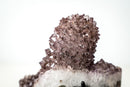 Rare Intact Lavender Amethyst Flower Stalactite with Natural Goethite Needles (1.5 Kg - 3.4 lb) - E2D Crystals & Minerals
