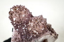 Rare Intact Lavender Amethyst Flower Stalactite with Natural Goethite Needles (1.5 Kg - 3.4 lb) - E2D Crystals & Minerals