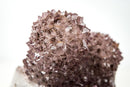 Rare Intact Lavender Amethyst Flower Stalactite with Natural Goethite Needles (1.5 Kg - 3.4 lb) - E2D Crystals & Minerals