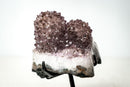 Rare Intact Lavender Amethyst Flower Stalactite with Natural Goethite Needles (1.5 Kg - 3.4 lb) - E2D Crystals & Minerals