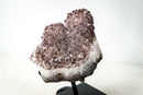 Rare Intact Lavender Amethyst Flower Stalactite with Natural Goethite Needles (1.5 Kg - 3.4 lb) - E2D Crystals & Minerals