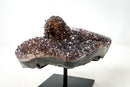 Collector-Grade Agate Specimen with Amethyst, Rare Golden Goethite & Red-Toned Flower Stalactite - E2D Crystals & Minerals