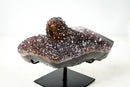 Collector-Grade Agate Specimen with Amethyst, Rare Golden Goethite & Red-Toned Flower Stalactite - E2D Crystals & Minerals