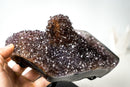 Collector-Grade Agate Specimen with Amethyst, Rare Golden Goethite & Red-Toned Flower Stalactite - E2D Crystals & Minerals